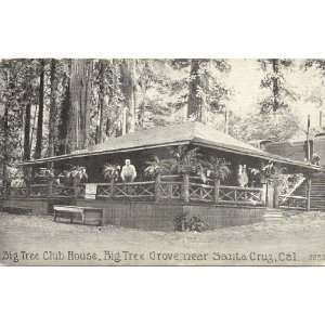  1915 Vintage Postcard Big Tree Club House   Big Tree Grove 