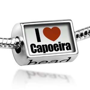  Beads I Love Capoeira   Pandora Charm & Bracelet 