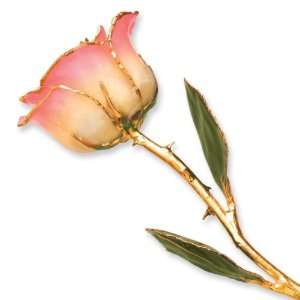  Long Stem Dipped 24k Gold Trim White Pink Rose In Gold 