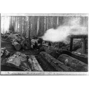  Vances Logging Claim,steam engine,lumberjacks,c1890