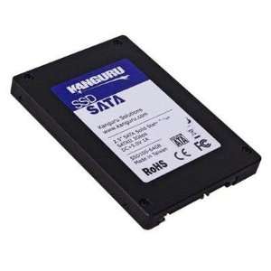  256GB Kanguru SSD   2.5 SATA