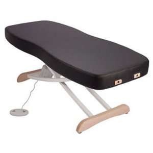   Electric Lift Massage Table Package with Visage Top