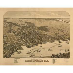   Panoramic Map Birds eye view of Jacksonville, Fla.: Home & Kitchen
