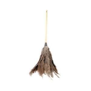  UNS31FD   Economy Ostrich Feather Dusters: Home & Kitchen