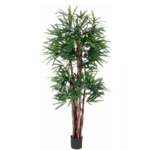  Flora Novara 98870 Artificial 6.5 Ft Rhapis Palm Tree
