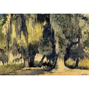   Inch, painting name Live Oaks, By Homer Winslow