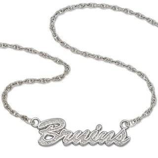  Boston Bruins   NHL / Necklaces & Pendants / Jewelry 