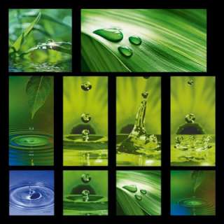   deco glass Float Glas by Artland Naturmotive Blätter Tropfen Wasser
