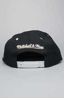Mitchell & Ness The NHL Arch Snapback Hat in Black Silver  Karmaloop 