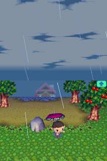 Animal Crossing   Wild World: .de: Games