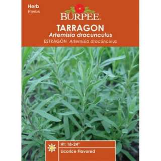 Burpee Herb Tarragon 62098  