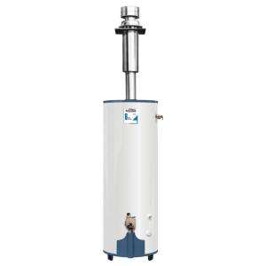   Gas/Liquid Propane Mobile Home Atmospheric Water Heater MVR30DV at The
