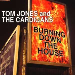 Burning Down the House Tom Jones and the Cardigans  Musik