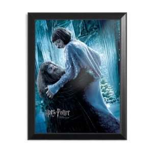 Harry Potter und der Feuerkelch   Weihnachtsball Hagrid Wandbild 