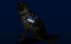 LED Strips als Logo z.B. für Julius K9® Hunde Geschirr  
