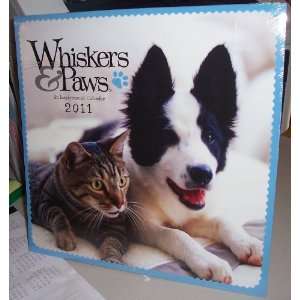  12 Month 2011 Wall Calendar   Whiskers & Paws (11 x 11 