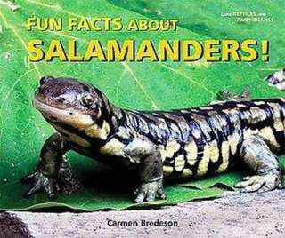 Fun Facts About Salamanders (Hardcover).Opens in a new window