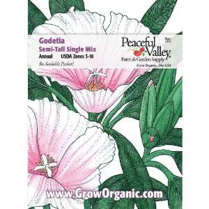  Godetia Seed Pack, Tall Single Mix Patio, Lawn & Garden