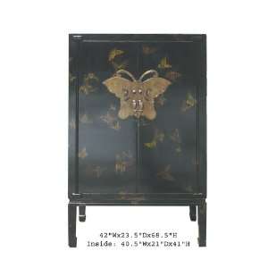   Rainbow Butterfly Paint Chinese Tall Armoire Cabinet
