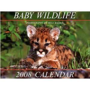 Baby Wildlife 2008 Mini Wall Calendar