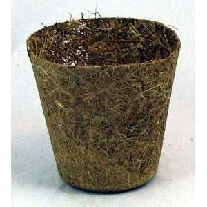  20 Straw Pots 5.5 Round   Biodegradable   Eco Friendly 