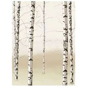 Birch Trees. Neutral. Eco Value Murals. 72 X 54 Inches