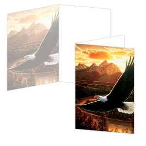 ECOeverywhere Soaring Birthday Boxed Card Set, 12 Cards and Envelopes 