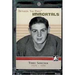   Terry Sawchuk   Mint Condition   In Protective Display Case !: Toys