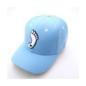  North Carolina Tar Heels Team Logo Fitted Hat (Light Blue 