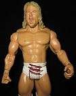 JAKKS PACIFIC WWE WRESTLER RUTHLESS AGGRESSION ACTION FIGURE BRIAN 