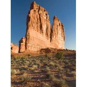  The Organ, Arches National Park, Utah, USA Photographic 