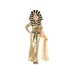  Egyptian Queen Nefertiti Adult Costume Health & Personal 