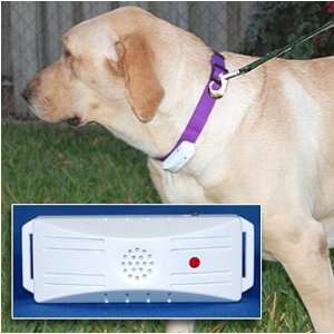  RIDDEX Ultrasonic Pest Control Collar for Pets and Dogs 
